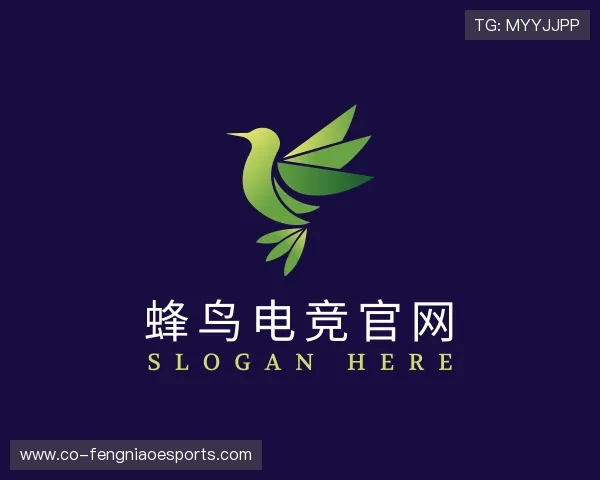 了解蜂鸟电竞